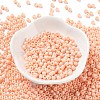 Baking Paint Glass Seed Beads SEED-H002-I-A519-2