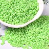 Baking Paint Glass Seed Beads SEED-P006-03A-35-1