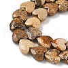 Natural Picture Jasper Beads Strands G-D316-B12-3
