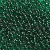 Transparent Colours Glass Seed Beads SEED-C001-02A-12-3