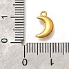 304 Stainless Steel Charms STAS-D310-06G-02-3