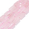 Natural Rose Quartz Beads Strands G-O170-142-1