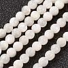 Natural White Shell Beads Strands G-G680-54-1