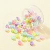 Opaque Acrylic Beads SACR-FS0001-22-3