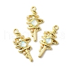 Alloy Pendants FIND-H015-16G-02-1