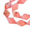 Dyed Natural Freshwater Shell Beads Strands SHEL-T020-13F-3