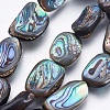 Natural Abalone Shell/Paua Shell Beads Strands SSHEL-P014-04-4