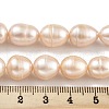 Natural Cultured Freshwater Pearl Beads Strands PEAR-P062-12A-5