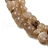 Natural White Shell Dyed Beads Strands BSHE-Z005-03A-3