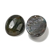 Natural Indian Agate Cabochons G-C115-01B-45-2