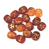16Pcs 16 Styles Natural Carnelian Display Decorations G-F786-02A-02-1