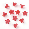 Transparent Acrylic Beads PLF018-11-2