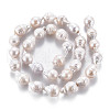 Natural Keshi Pearl Beads Strands PEAR-S020-F08-3