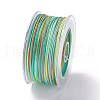 Segment Dyed Polyester Thread NWIR-I013-E-20-2