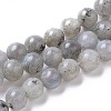 Natural Labradorite Beads Strands G-I261-D02-6mm-1