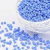 Glass Seed Beads X1-SEED-A010-3mm-43B-1