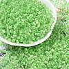 Transparent Inside Colours Glass Seed Beads SEED-A032-04C-1