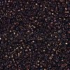 MIYUKI Delica Beads SEED-X0054-DB1002-3