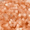 Glass Seed Beads SEED-H002-D-A807-3