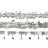 Natural Prehnite Chip Beaded Necklaces for Men Women NJEW-G159-01Q-5