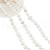  3 Strands Natural Freshwater Shell Beads Strands SHEL-NB0001-46-1