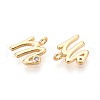 Brass Micro Pave Cubic Zirconia Charms KK-N263-97G-M-2