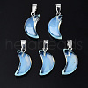 Spray Painted Glass Pendants GLAA-N035-021-A02-1