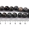 Dyed Natural Regalite/Imperial Jasper/Sea Sediment Jasper Beads Strands G-B124-C03-06-3
