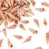 Natural Conch Shell FIND-TAC0026-10C-7
