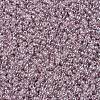 MIYUKI Round Rocailles Beads X-SEED-G007-RR0168-3