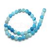 Natural Weathered Agate Bead Strands G-S237-10mm-04-2