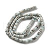 Natural Larimar Beads Strands G-Q024-B03-01-3