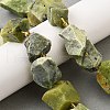 Raw Rough Natural Serpentine Beads Strands G-Z087-B14-1