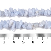 Natural Blue Lace Agate Chip Beads Strands G-E271-73-A-3