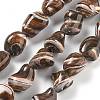 Dyed Natural Trochus Shell Beads Strands BSHE-Z006-02E-1