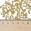TOHO Round Seed Beads X-SEED-TR08-0389-4