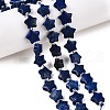 Dyed Natural Lapis Lazuli Dyed Beads Strands G-T138-190-1
