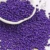 Baking Paint Glass Seed Beads SEED-A033-04O-1