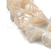 Natural Shell Beads Strands SHEL-K009-11-3