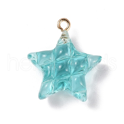 Transparent Resin Pendants RESI-Z016-02F-LG-1