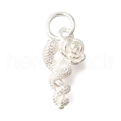 925 Sterling Silver Pendants STER-F059-08S-1