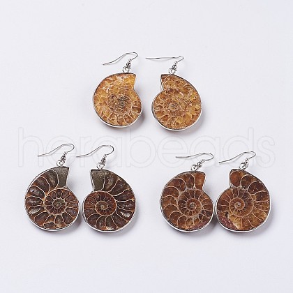 Fossil Spiral Dangle Earrings EJEW-P153-01-1