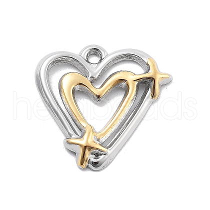 304 Stainless Steel Pendants STAS-R155-009G&P-1