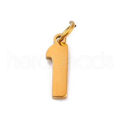 304 Stainless Steel Charms STAS-A106-01G-01-1