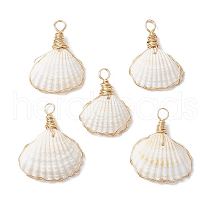 Copper Wire Wrapped Natural Shell Pendants PALLOY-JF03494-1