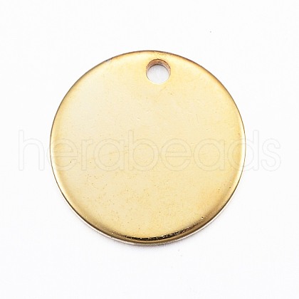 304 Stainless Steel Charms STAS-G137-09G-1