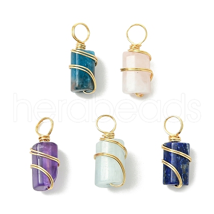 5Pcs Natural Mixed Gemstone Pendants PALLOY-JF03155-1