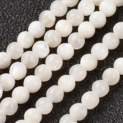 Natural White Shell Beads Strands G-G680-54-1