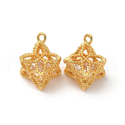 Brass with Cubic Zirconia Charms KK-F898-06G-1