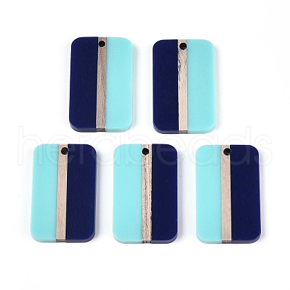 Opaque Resin & Wood Pendants RESI-T057-69A-1